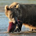 ���� ������, �������, 45 ��� - ��������� 6 ������� 2016 � ������ ���������!�