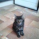 ���� ��������, �����-���������, 72 ���� - ��������� 27 ������� 2015 � ������ ������ ��������