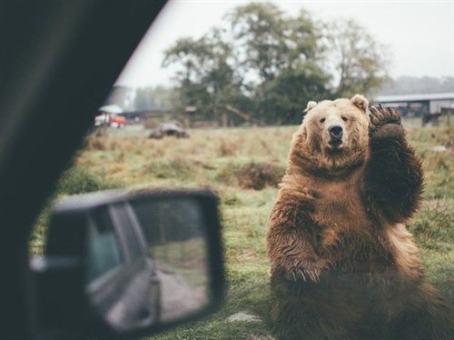 �����, �������! �������, ���� ���))