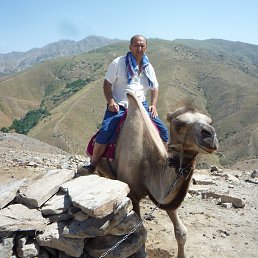 Pers Fars, ������, 58 ���