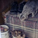 ���� �����, �����, 39 ��� - ��������� 16 ������ 2016 � ������ ������ ��������