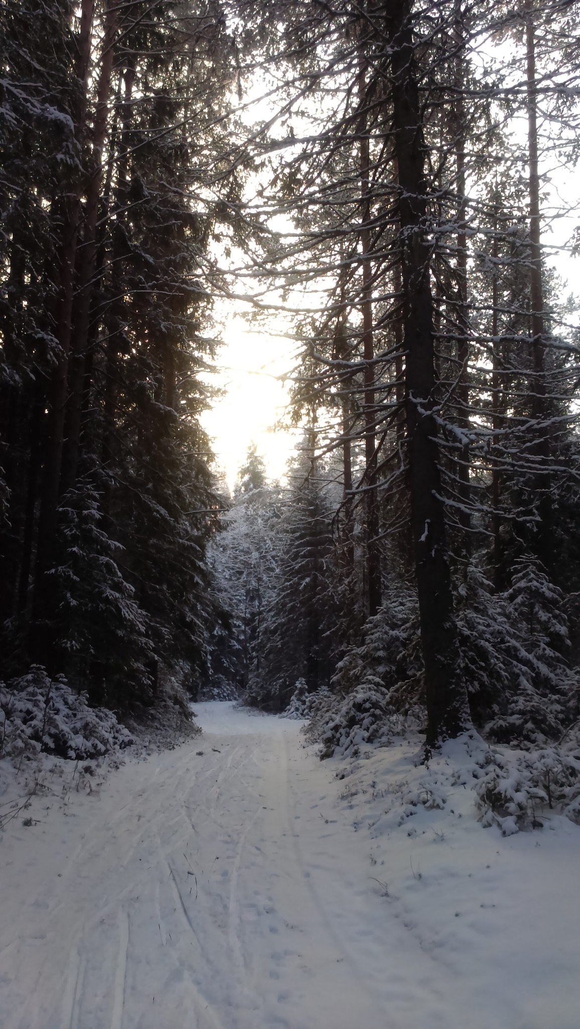   - 11  2016  02:10 - 4