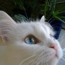 ���� Lena Luna, ������� - ��������� 6 ������� 2015 � ������ �����