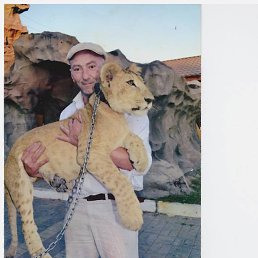 �����, ���������, 61 ���