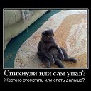 ���� Igor, ����, 56 ��� - ��������� 20 ������� 2016 � ������ ������ ��������