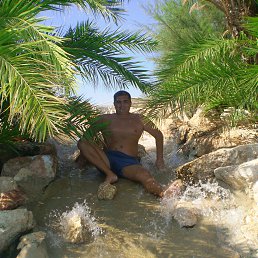 Nikola, �����, 49 ���