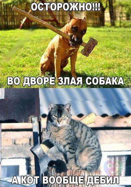 Art & Fun - 7  2015  16:32