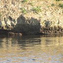 ���� ����� �, �����, 55 ��� - ��������� 14 ������� 2015 � ������ ���� ������