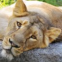 ���� ����������, �����������, 58 ��� - ��������� 24 ������� 2016 � ������ ���� ����������