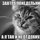 ���� �����, ������ - ��������� 22 ������ 2015 � ������ ���� ����������