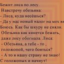 ���� Alexander, ������, 58 ��� - ��������� 22 ������ 2015 � ������ ������ ��������