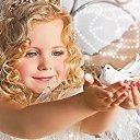 ���� ���������, ������ - ��������� 16 ������� 2016 � ������ ������ ��������