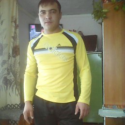 ���� �����, ������, 41 ��� - ��������� 8 ������ 2016