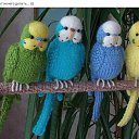 ���� ������ �������, �������, 67 ��� - ��������� 8 ������� 2015 � ������ ������ ��������