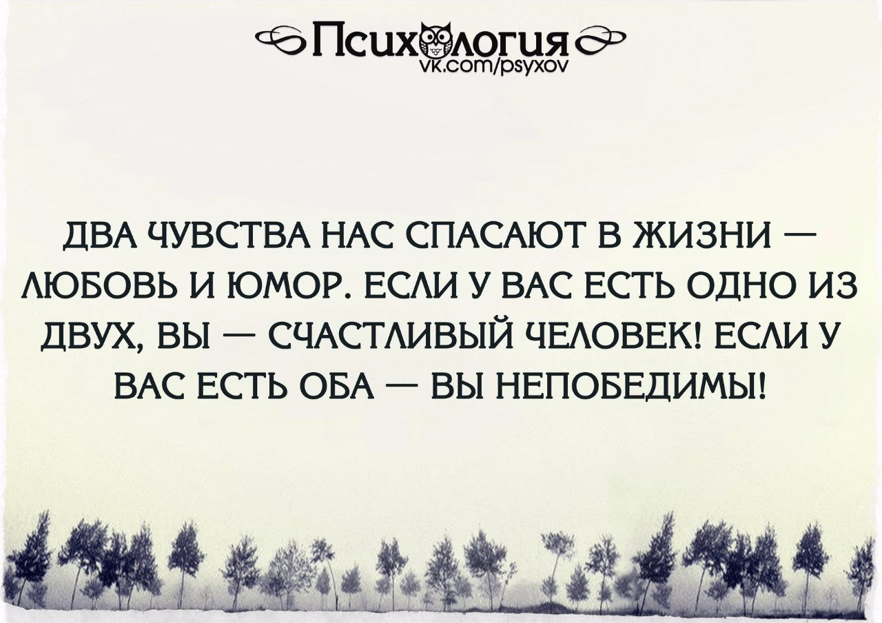 Любовь и чувство юмора. Чувство юмора цитаты. Цитаты про юмор и с чувством юмора. Чувство юмора цитаты и афоризмы. Люблю людей с чувством юмора цитаты.