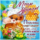 ���� �����, ���������� - ��������� 24 ������ 2015 � ������ ������ ��������