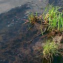 ���� ��������, ���������, 48 ��� - ��������� 9 ������� 2016 � ������ ���� ����������