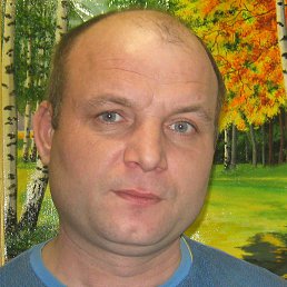 ����, ������, 49 ���