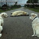 ���� ��������, ������, 58 ��� - ��������� 12 ������� 2015 � ������ ������ ��������
