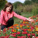 ���� �������, ������, 59 ��� - ��������� 1 ������ 2015 � ������ ���� ����������