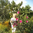 ���� ����, ����, 66 ��� - ��������� 18 ������� 2015 � ������ ���� ����������