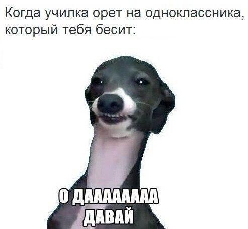    :D - 7  2016  17:37