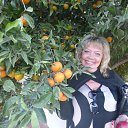 ���� �������, �����-��������� - ��������� 13 ������� 2015