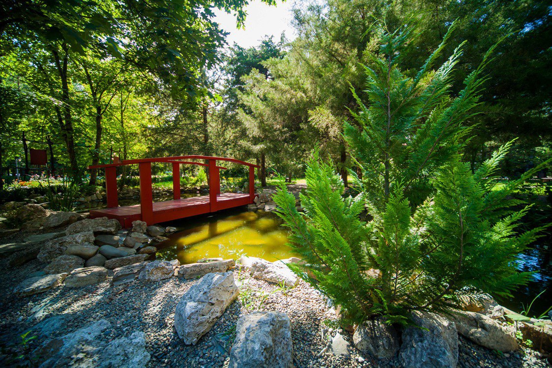 -   ,  -, 16  22 .    ? ... - 3