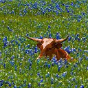 ���� �����, ������-��-����, 67 ��� - ��������� 13 ������ 2015 � ������ ������ ��������