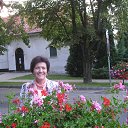 ���� �����, ��������� - ��������� 7 ����� 2016