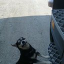  Vidmantas, , 52  -  15  2016    