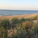 ���� ���������, ����, 41 ��� - ��������� 26 ������� 2015 � ������ ���� ����������