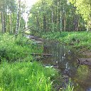 ���� ������, ����������-���������, 44 ���� - ��������� 31 ������� 2015 � ������ ����������