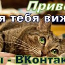  Ksuha, , 32  -  29  2016    