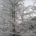 ����������� � ����� ����. �� ������� ������. 17.01.2016�