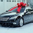 ���� Alik, ������ - ��������� 30 ������ 2015 � ������ ������ ��������