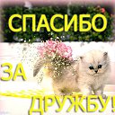 ���� Simma, ������, 57 ��� - ��������� 29 ������ 2015 � ������ ������ ��������