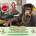 ���� 1�������������, ��������, 48 ��� - ��������� 4 ������ 2016 � ������ ������ ��������