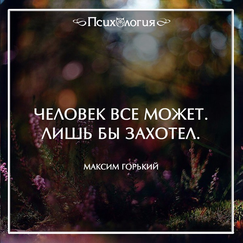 ���������� - 14 ������� 2016 � 00:26