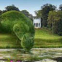 ���� Nina, ���� - ��������� 18 ������ 2015 � ������ ���� ����������