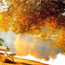 ���� Ya, ������ - ��������� 9 ������� 2015 � ������ ���� ����������