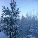 ���� 2016 �� ������� ������ ���