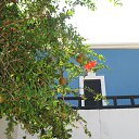 ���� �����, ��������� - ��������� 26 ������� 2016 � ������ ���� ����������