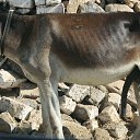 ���� ��������, ������ - ��������� 25 ������ 2015 � ������ ���� ����������