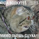 ���� ���������, ����������� - ��������� 22 ������� 2016 � ������ ���� ����������