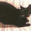 ���� ��������, ��������, 60 ��� - ��������� 3 ������ 2016 � ������ ���� ����������