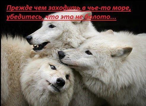 ������ - 27 �������� 2015 � 09:02