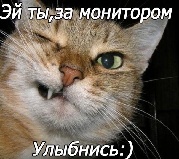  -  - 13  2016  16:29