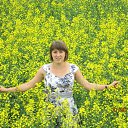 ���� �����, �������, 36 ��� - ��������� 18 ������� 2015