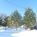 ���� �����, ������, 48 ��� - ��������� 4 ������� 2015